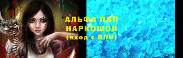 тгк Абаза