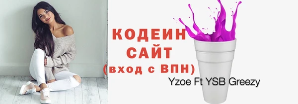 тгк Абаза