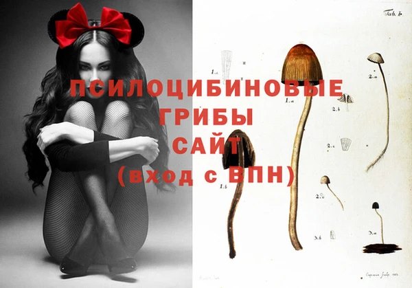 тгк Абаза