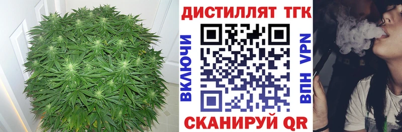ТГК Wax  Старая Русса 